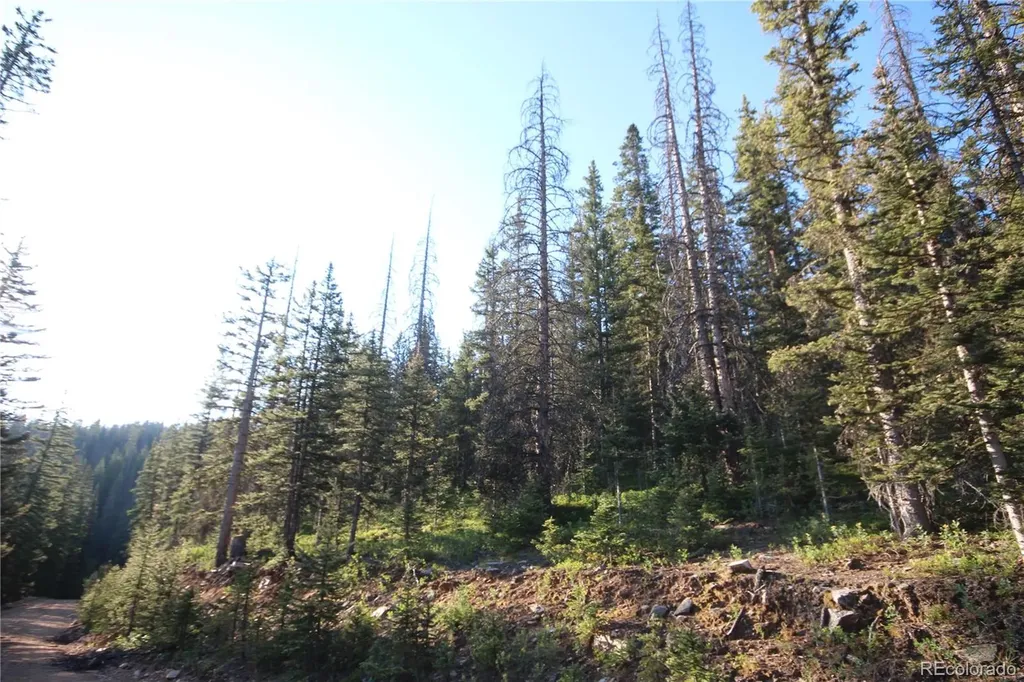 Lot 6613 Starkweather Road San Luis CO 81152