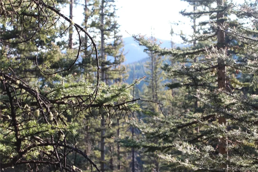 Lot 6613 Starkweather Road San Luis CO 81152