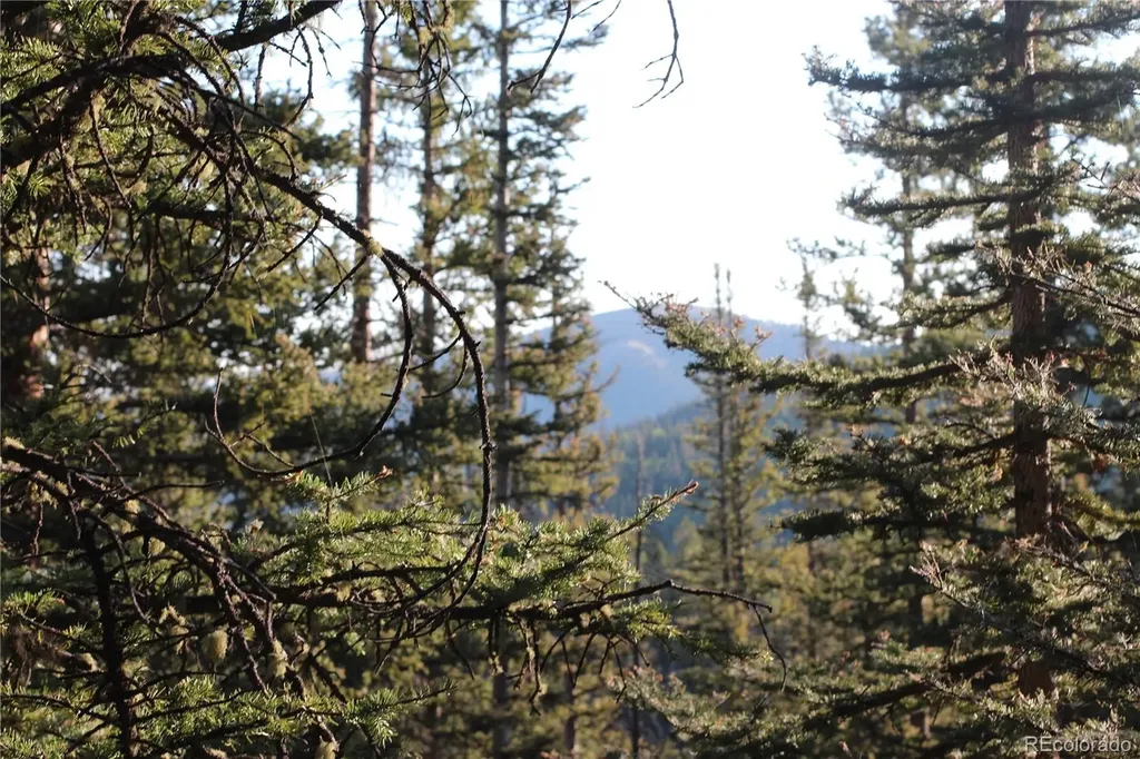 Lot 6613 Starkweather Road San Luis CO 81152
