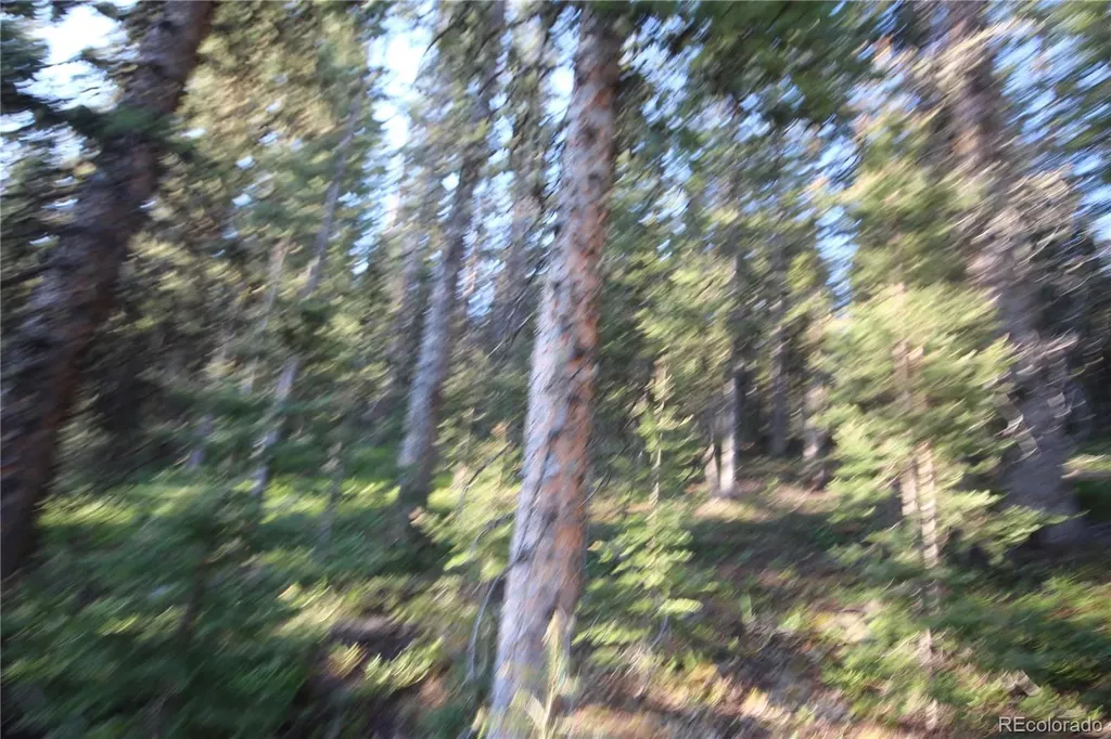 Lot 6613 Starkweather Road San Luis CO 81152