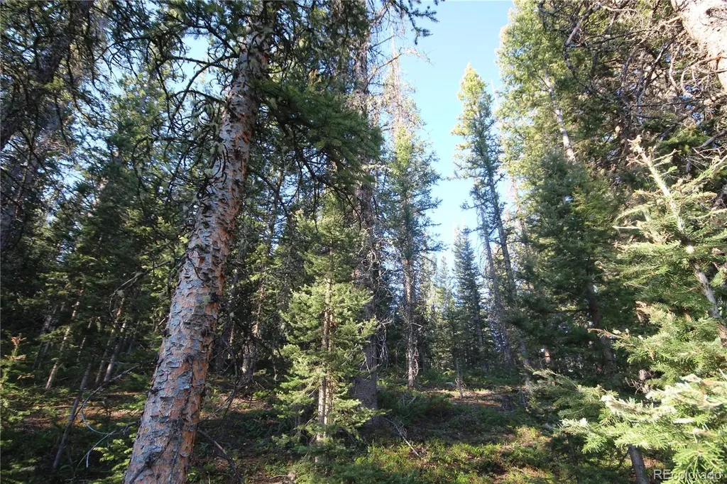 Lot 6613 Starkweather Road San Luis CO 81152