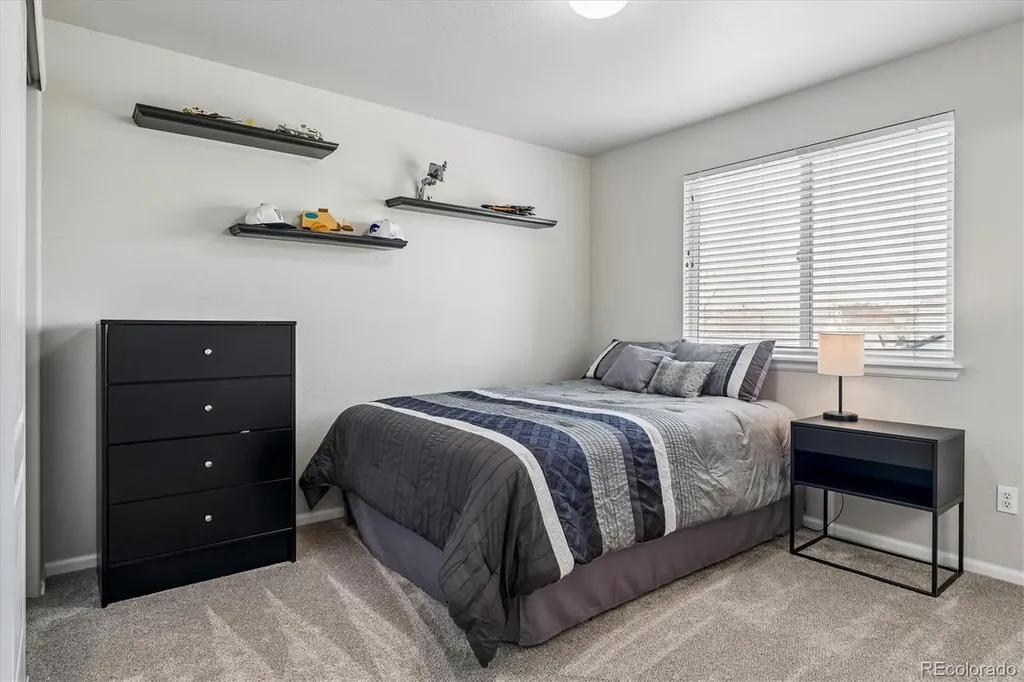 4324 Ivycrest Point Highlands Ranch CO 80130