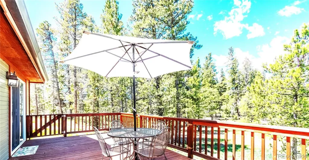 93 Placer Drive Alma CO 80420