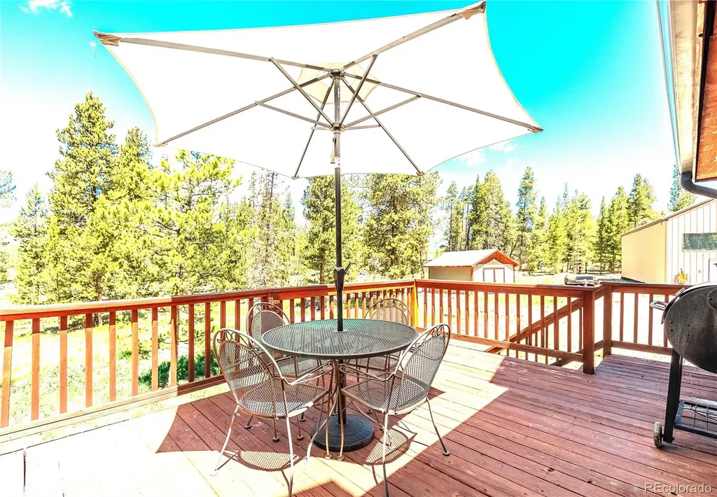 93 Placer Drive Alma CO 80420