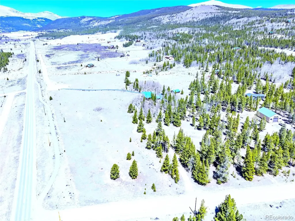 93 Placer Drive Alma CO 80420