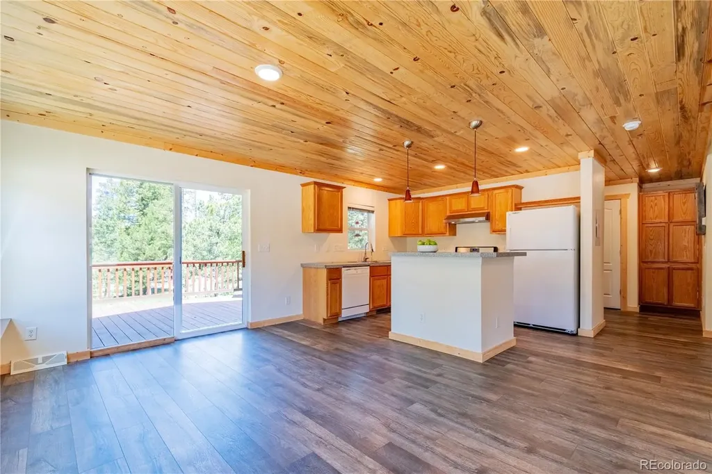 93 Placer Drive Alma CO 80420
