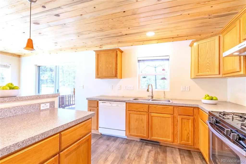 93 Placer Drive Alma CO 80420