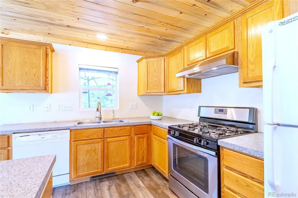 93 Placer Drive Alma CO 80420