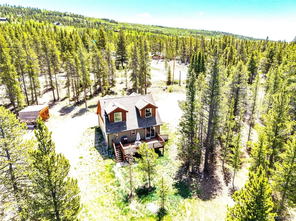93 Placer Drive Alma CO 80420
