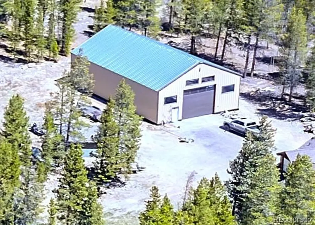 93 Placer Drive Alma CO 80420