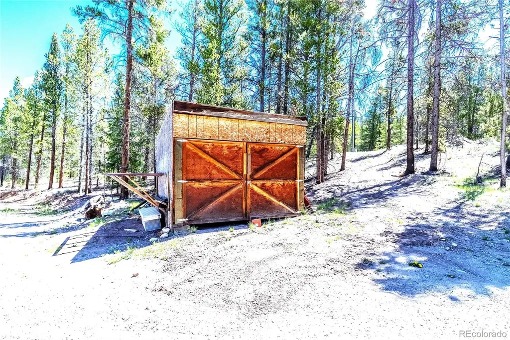 93 Placer Drive Alma CO 80420