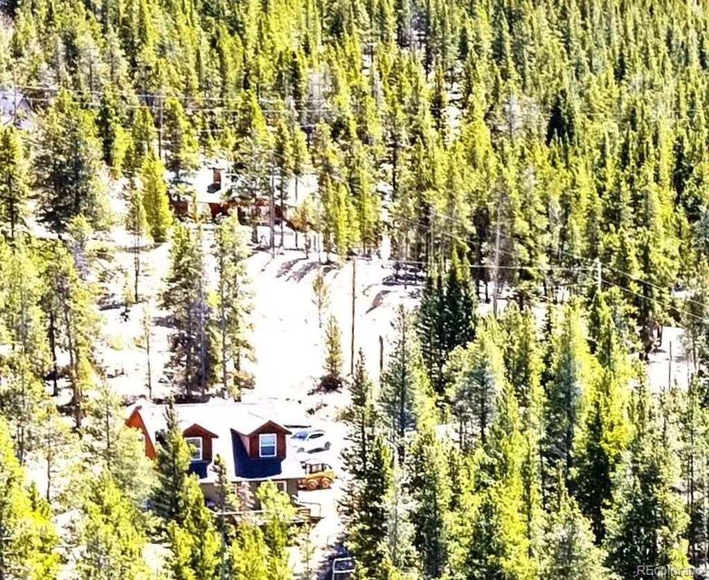 93 Placer Drive Alma CO 80420