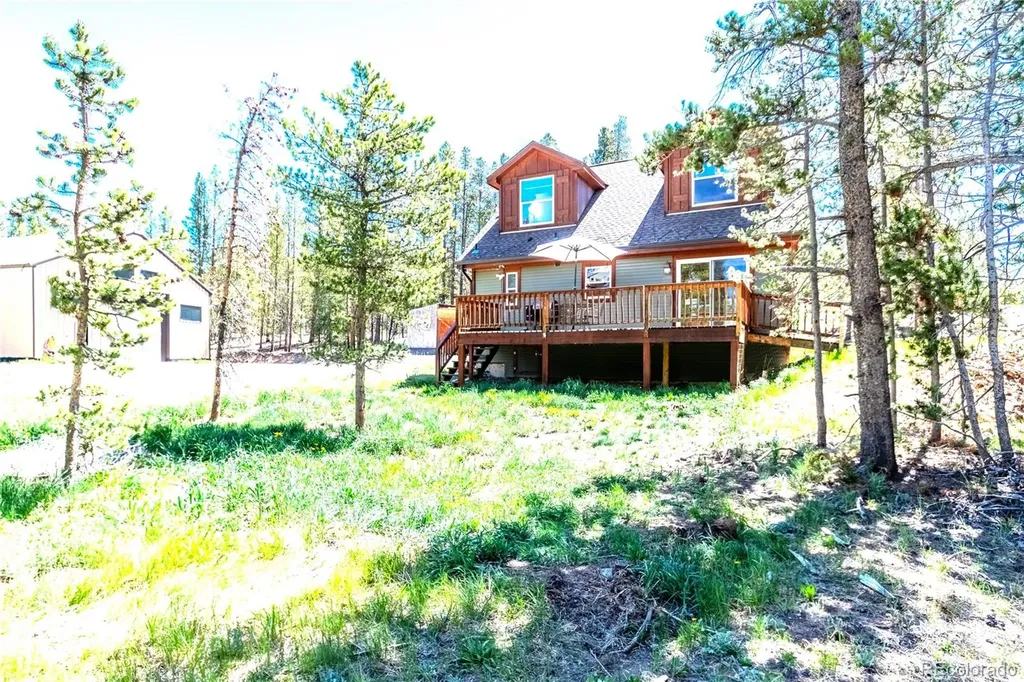 93 Placer Drive Alma CO 80420