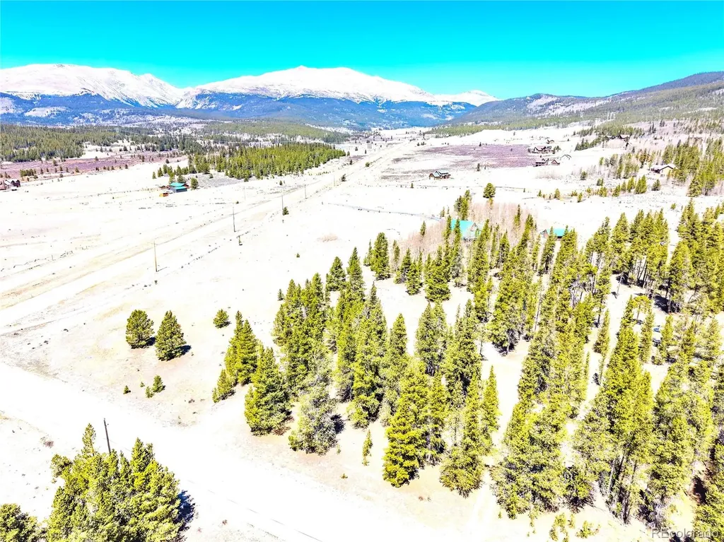 93 Placer Drive Alma CO 80420