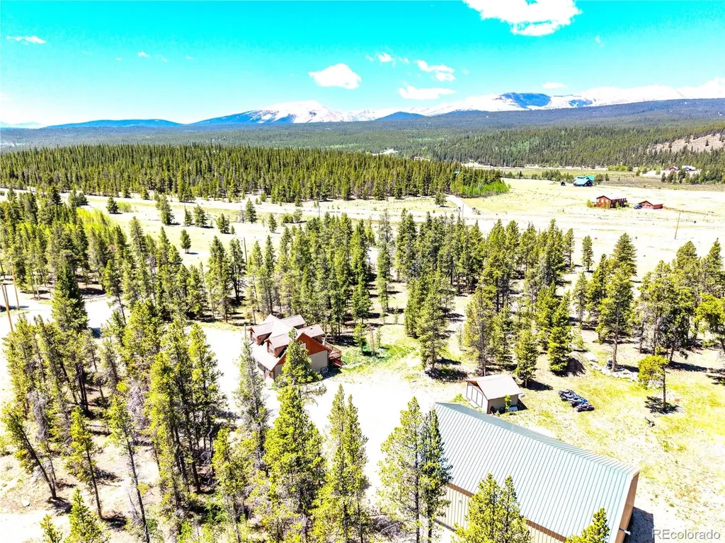 93 Placer Drive Alma CO 80420
