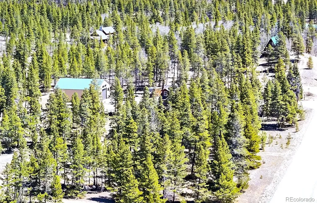 93 Placer Drive Alma CO 80420