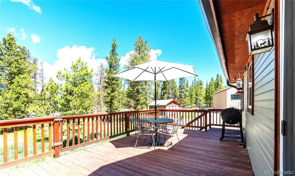93 Placer Drive Alma CO 80420