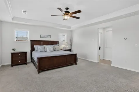 1205 Bonnyton Place Castle Rock CO 80104