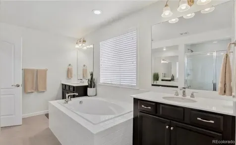 1205 Bonnyton Place Castle Rock CO 80104