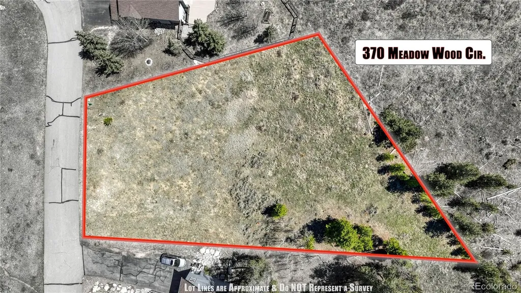 370 Meadow Wood Circle Dillon CO 80435