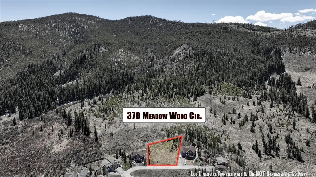 370 Meadow Wood Circle Dillon CO 80435