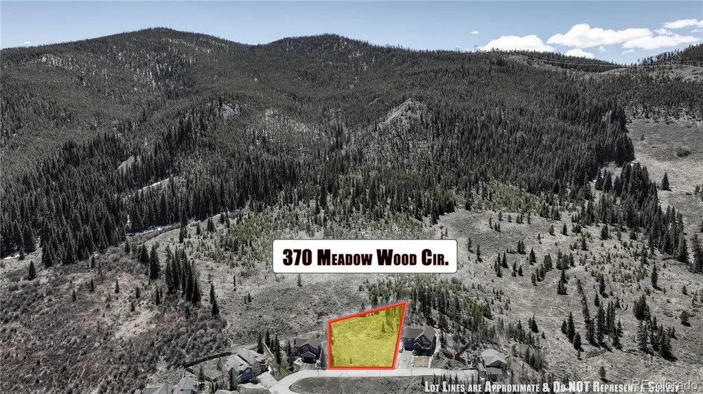 370 Meadow Wood Circle Dillon CO 80435