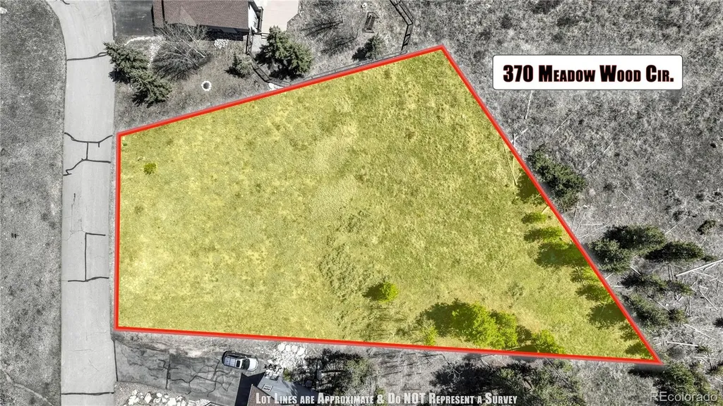 370 Meadow Wood Circle Dillon CO 80435