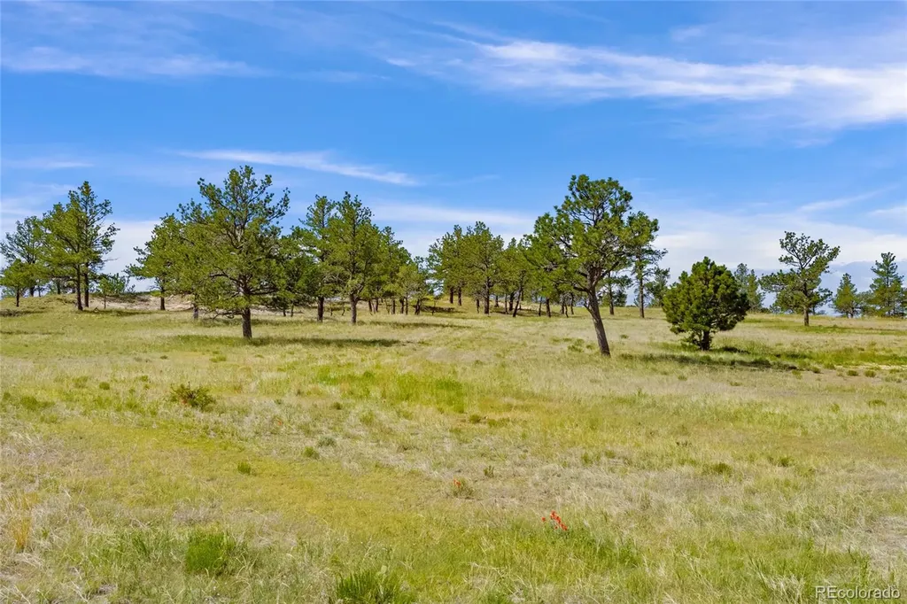 Parcel B County Road 77 Calhan CO 80808