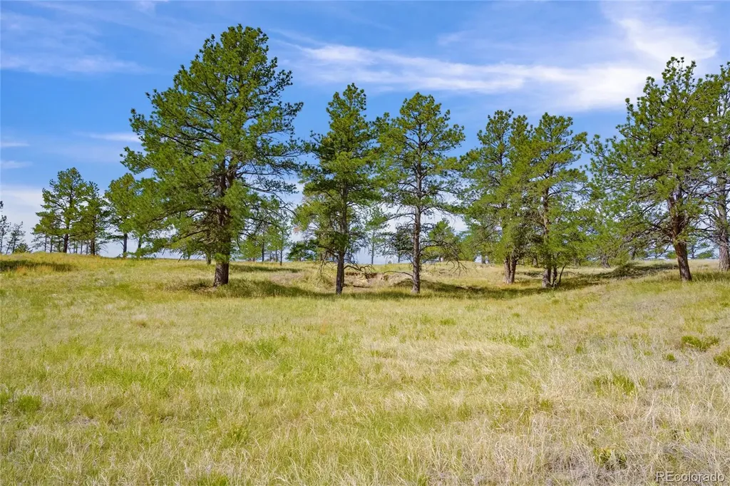 Parcel B County Road 77 Calhan CO 80808