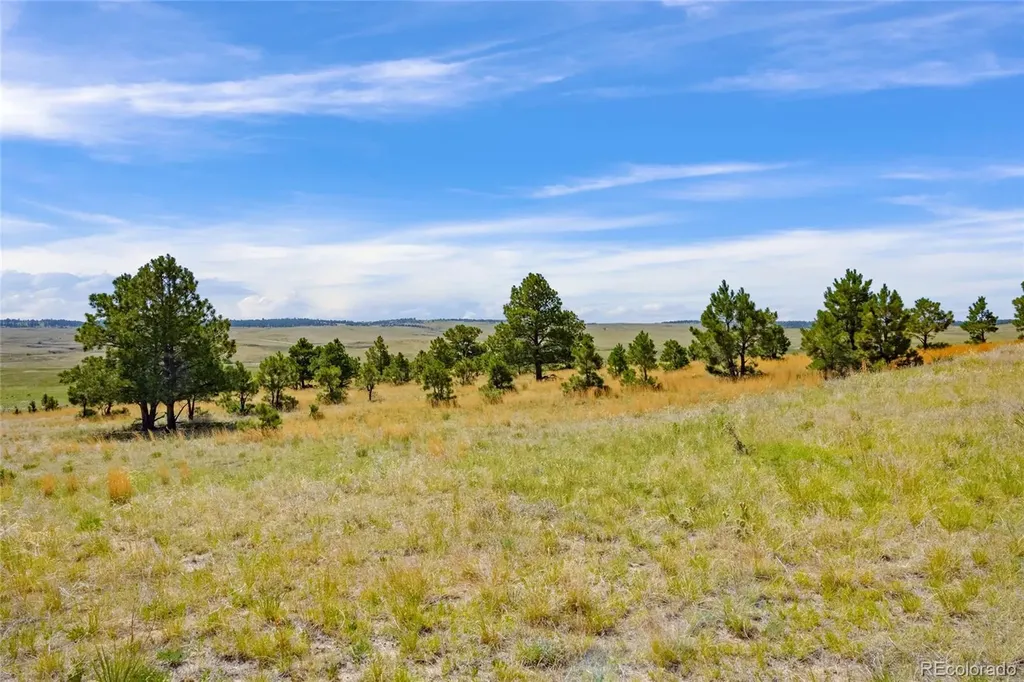 Parcel B County Road 77 Calhan CO 80808