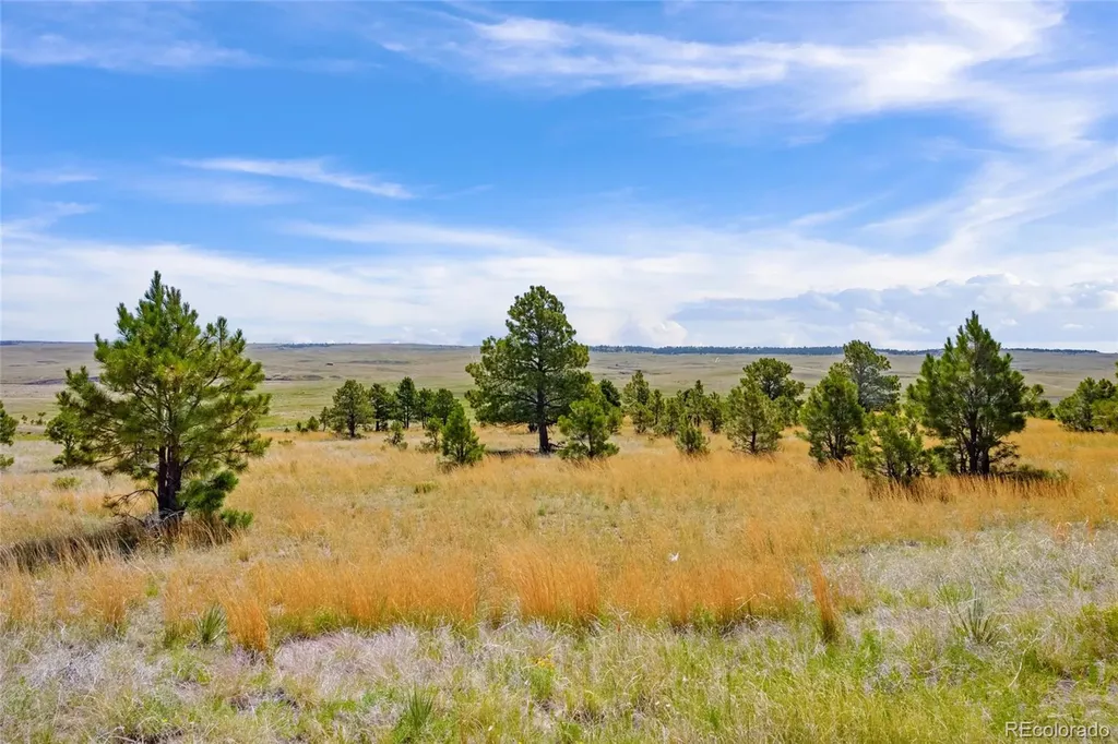 Parcel B County Road 77 Calhan CO 80808
