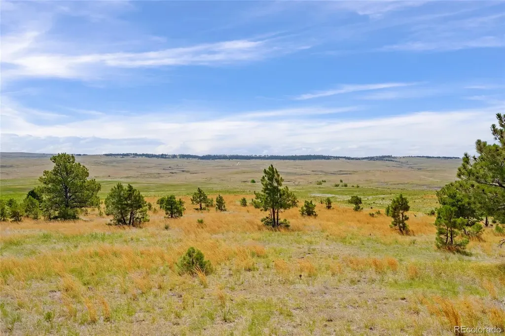 Parcel B County Road 77 Calhan CO 80808