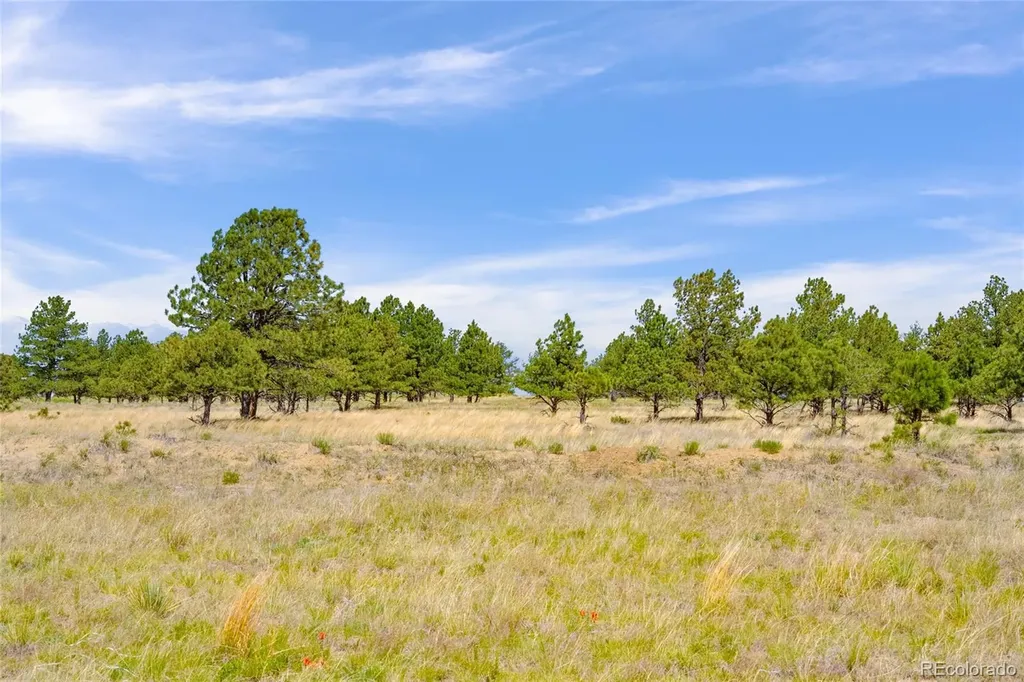 Parcel B County Road 77 Calhan CO 80808