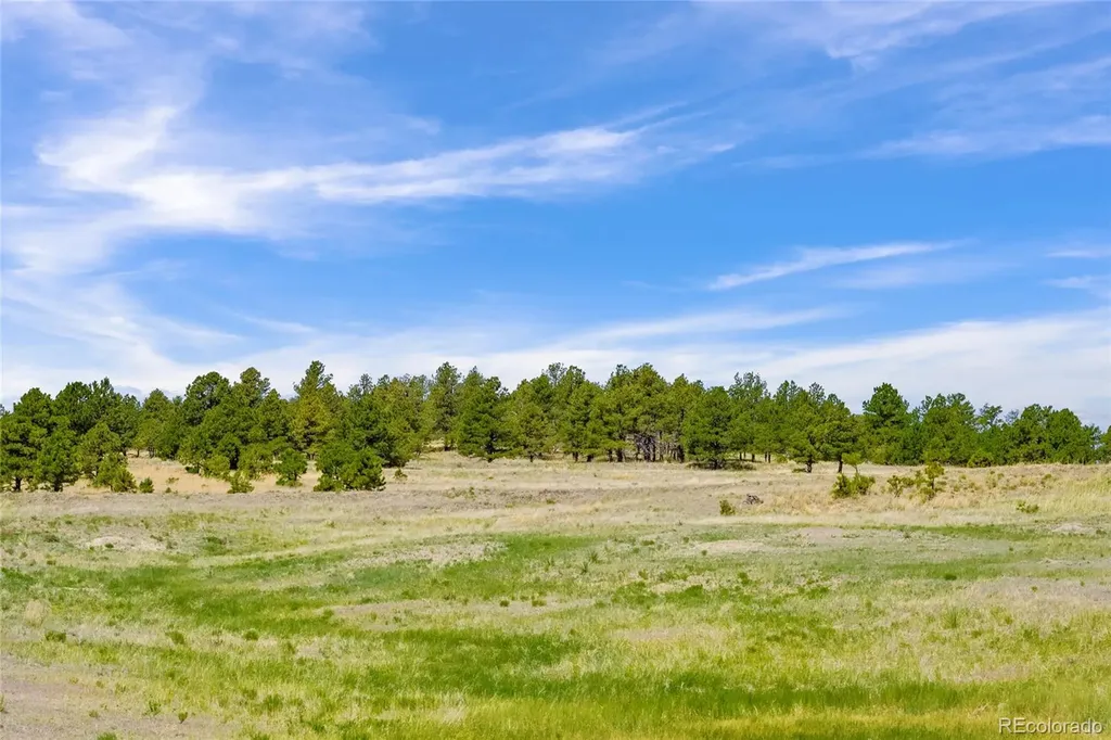Parcel B County Road 77 Calhan CO 80808
