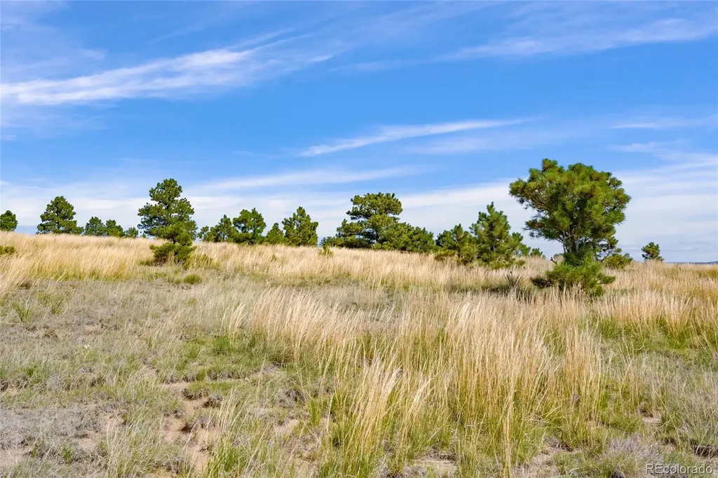 Parcel B County Road 77 Calhan CO 80808