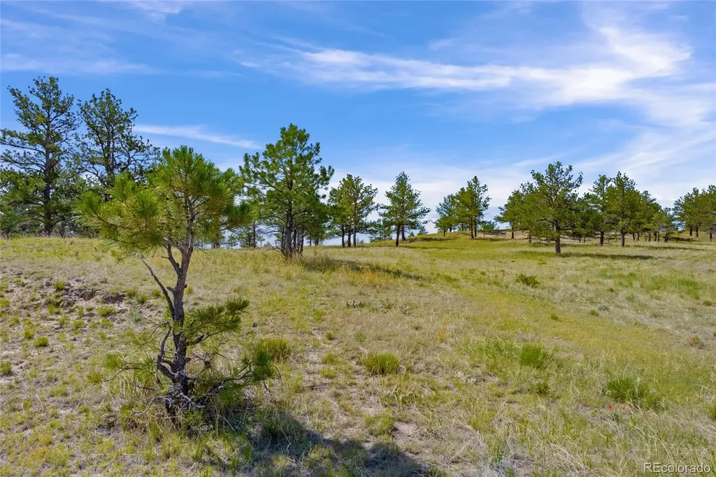 Parcel B County Road 77 Calhan CO 80808