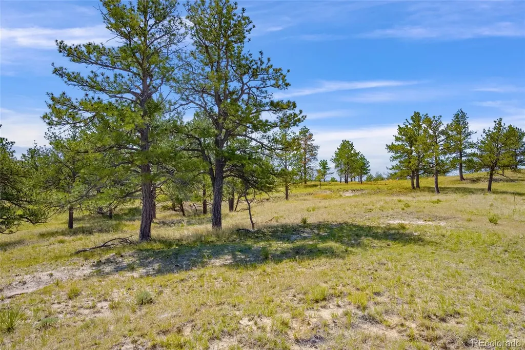 Parcel B County Road 77 Calhan CO 80808