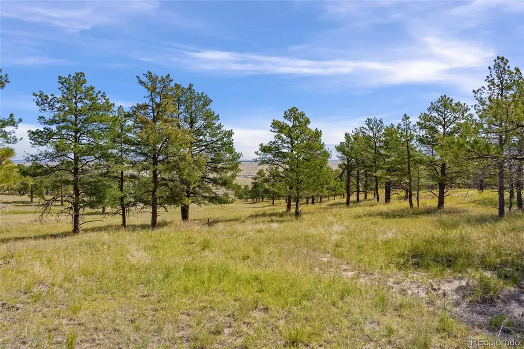 Parcel B County Road 77 Calhan CO 80808