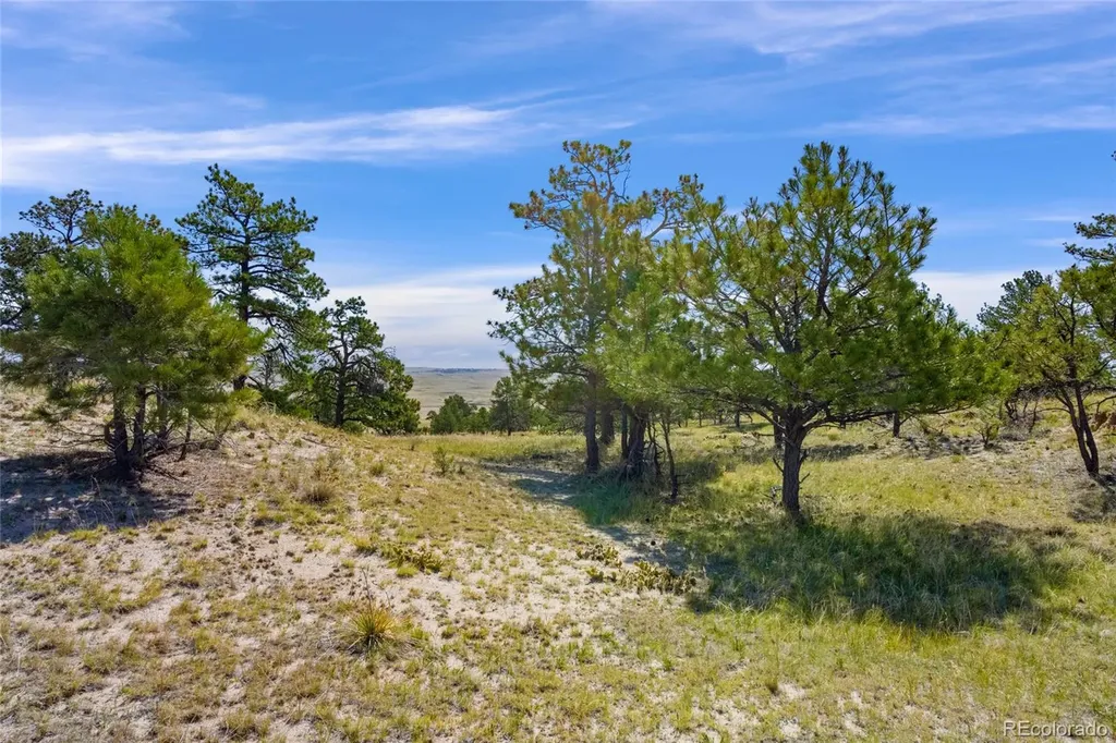 Parcel B County Road 77 Calhan CO 80808