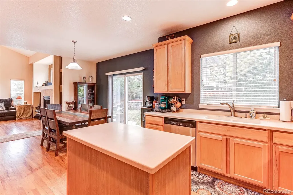 187 Apache Plume Court Brighton CO 80601