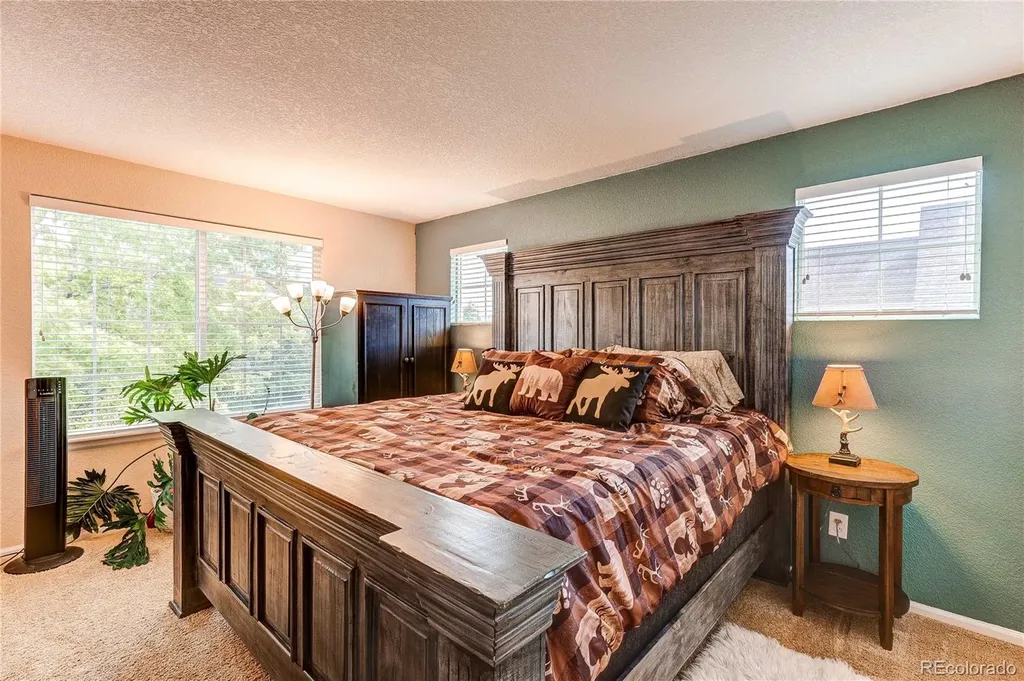 187 Apache Plume Court Brighton CO 80601