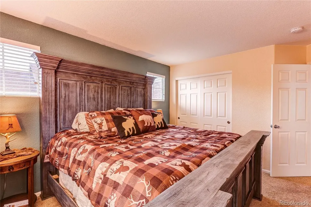 187 Apache Plume Court Brighton CO 80601