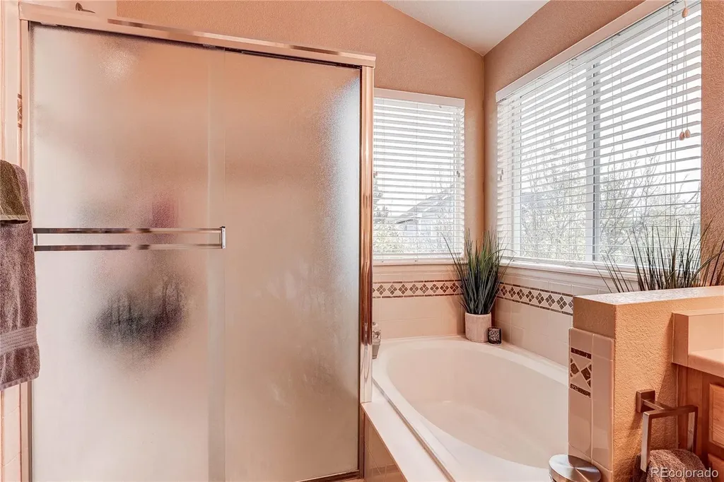 187 Apache Plume Court Brighton CO 80601