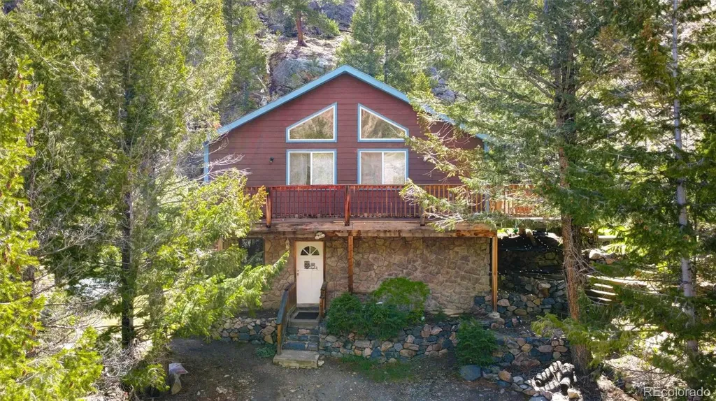 1206 Biddle Street Georgetown CO 80444