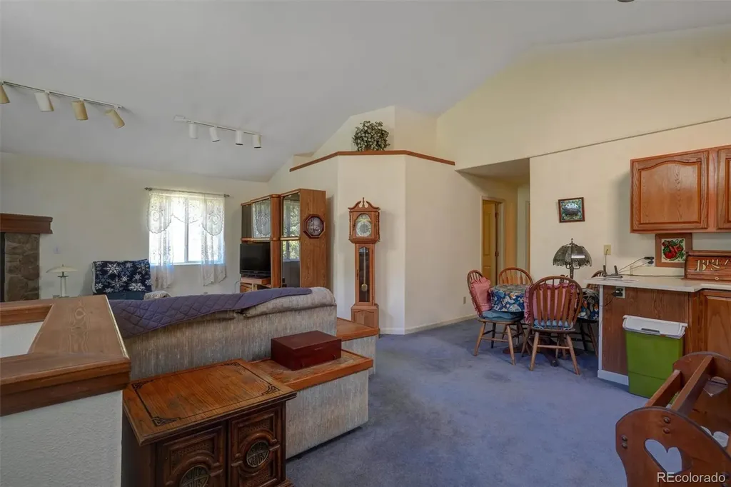1206 Biddle Street Georgetown CO 80444