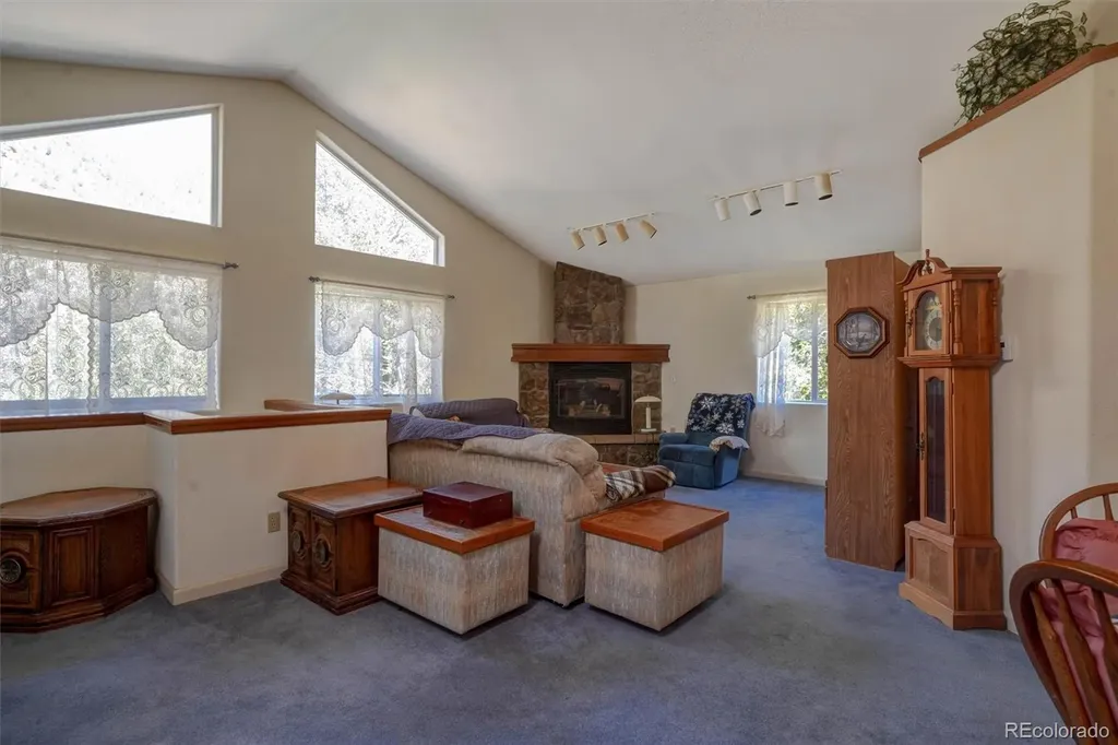 1206 Biddle Street Georgetown CO 80444
