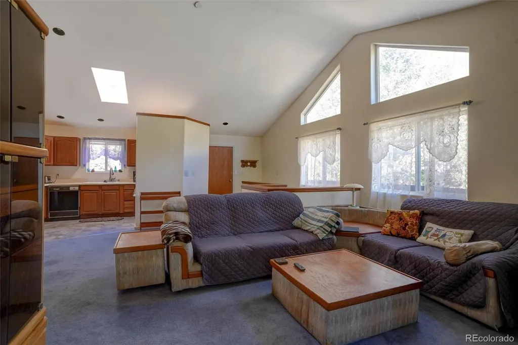 1206 Biddle Street Georgetown CO 80444
