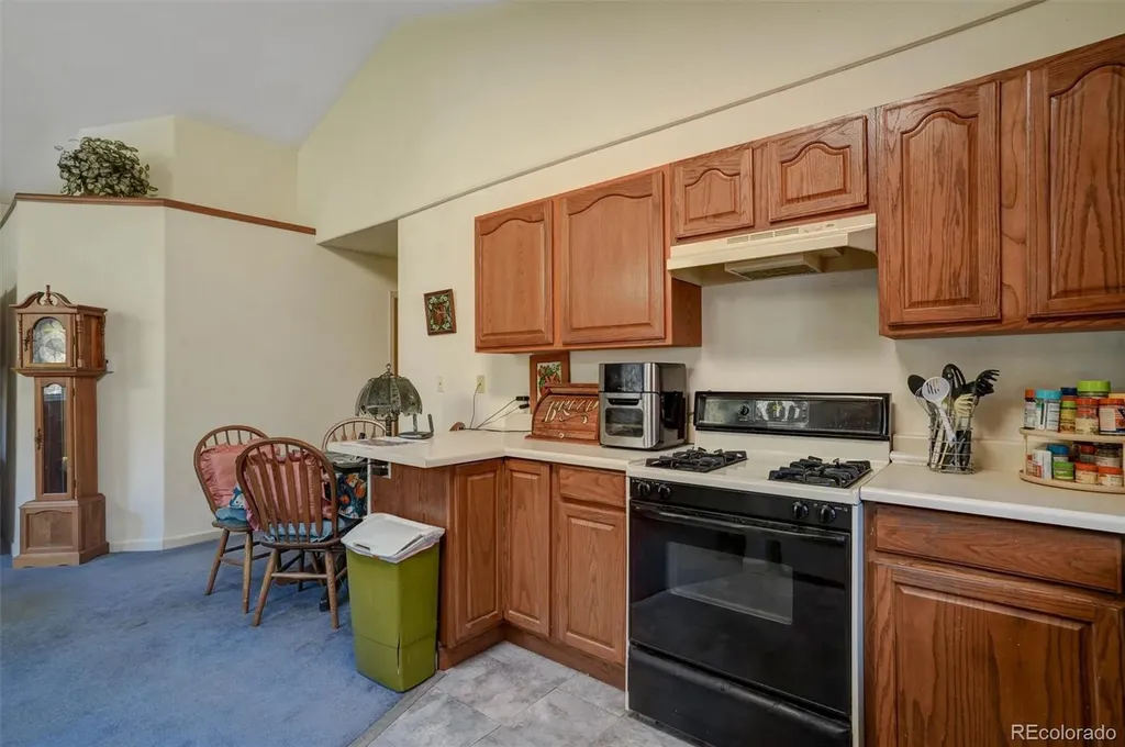 1206 Biddle Street Georgetown CO 80444