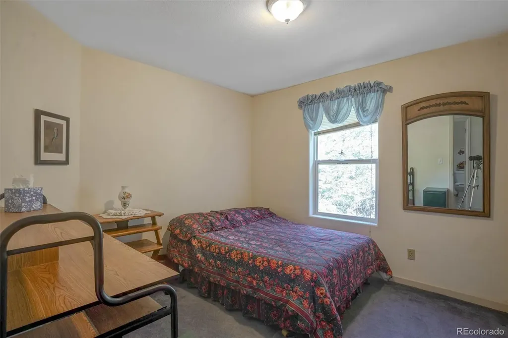 1206 Biddle Street Georgetown CO 80444