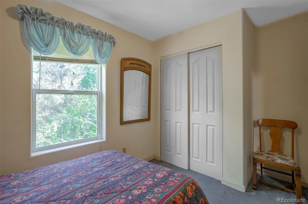 1206 Biddle Street Georgetown CO 80444